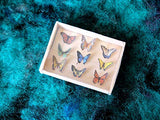 Miniature Butterfly Display Case. Dollhouse Accessories Wooden Box Frame Mounted