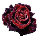 Smartcoco 5D DIY Diamond Painting Red Rose Wall Sticker 3D Diamond Mosaic Cross Stitch Embroidery 30X30CM