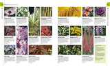 Encyclopedia of Garden Plants for Every Location: Featuring More Than 3,000 Plants