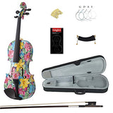 Kinglos 4/4 Gorgeous Colored Ebony Fitted Solid Wood Violin Kit with Case, Shoulder Rest, Bow, Manual, Extra Bridge and Strings Full Size