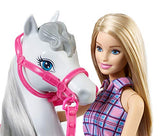Barbie Doll & Horse