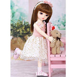 W&Y BJD Doll Size 1/6 26CM 10 Inch 19 Ball Joints SD Dolls with Clothes Shoes Wigs Free Makeup Girls DIY Toys Cosplay Fashion Dolls Best Gift for Child