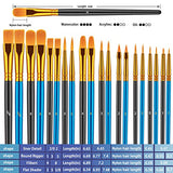 Paint Brushes Set, 20 Pcs Paint Brushes for Acrylic Painting, Oil Watercolor Acrylic Paint Brush, Artist Paintbrushes for Body Face Rock Canvas, Kids Adult Drawing Arts Crafts Supplies, Blue+Black