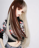 (22-24cm) 1/3 BJD Doll SD Fur Wig Dollfie / Mixed Colors / Long Straight Hair / FA50