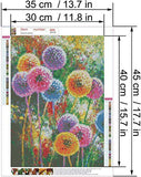Flower Diamond Painting-DIY 5D Diamond Painting by Number Kits，Crystal Rhinestone Diamond Painting Full Drill Embroidery for Adults and Beginner Diamond Arts Craft Home Decor Colorful Dandelions