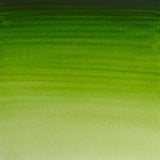 Winsor & Newton Professional Water Color Tube, 5ml, Permanent Sap Green