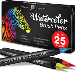 Artist Watercolor Brush Pens Set of 26 - Vibrant Markers with Bonus 1 Water Brush Pen - 25 Colors Flexible Nylon Tips - Paper Pad & Carry Case - Non-Toxic Safe & Fun Watercolors in Gift Ready Package