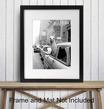 New York City Photograph - Llama in NYC Taxi Wall Art Photo - 8x10 Picture Print - Gift for New Yorker, NY, Big Apple, Manhattan Fans - Unframed Poster