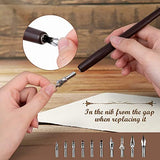Calligraphy Pens Set for Beginners - Fountain Dip Pen Vintage Pen Set Wooden Dip Pen Handcrafted Calligraphy Set with 11 Nibs & Black Ink