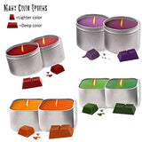 Longan Craft Candle Making Kit-Complete DIY Candle Making Supplies-Create Colored Scented Soy Candles-Full Beginners Set Including 2 LB Wax, Rich Scents, Dyes, Wicks, Melting Pitcher, Tins & Carry Bag