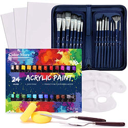 Acrylic Paint Set, 49 Piece Professional Painting Supplies Set, Includes 24 Acrylic Paints, 16 Painting Brushes with Case,Paint Knife,Art Sponge and Canvas,Palette, for Artists, Students and Kids