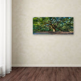 Angel Oak Charleston by Pierre Leclerc work, 16 by 32-Inch Canvas Wall Art