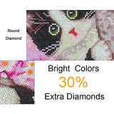 Fancy Fang DIY 5D Cat Diamond Painting Kit Number Cats Digital Crystal Rhinestone Embroidery Picture Cross Stitch Home Christmas Wall Decoration Gift 11.8×15.7In