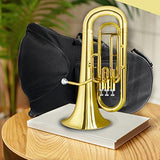 Trumpet b Flat Bb Standard Trumpet Set Brass Trumpet Musical Instruments for Students beginners Orchestra Playing With Case,Mouthpiece,Cloth, Gloves