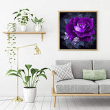 BOHADIY 5d Diamond Painting Kits for Adults Beginner Full Drill for Easy Kids Diamond Arts Crafts Paintings for Home, Office, Wall Decor 11.8×11.8 Inch Purple Rose