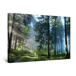 Startonight Canvas Wall Art - Landscape Road in the Forest, Nature Framed 32 x 48 Inches