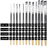 Xileyw Paint Brush Set, 12 Different Sizes, Professional Nylon Hair Paint Brushes, for Watercolor, Acrylic, Gouache, Oil Painting, for Kids, Adults, Beginner and Artist