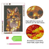 5D Diamond Painting Kits for Adults DIY Rhinestone Diamond Art Kits for Beginners Fox Full Drill Round Crystal Animal Paint by Diamond Dotz Relaxation and Home Wall Decor 12 x 16 inch
