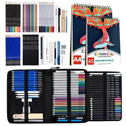 Prina 50 Pack Drawing Set Sketch Kit, Sketching Supplies with 3-Color  Sketchbook, Graphite, a Review 