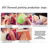 DIY 5D Diamond Painting by Number Kits, Full Drill Crystal Rhinestone Embroidery Pictures Arts Craft for Home Wall Decoration,Colorful Skull