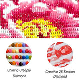 DIY 5D Diamond Painting Halloween by Number Kits Full Drills for Adults,Round Drill Cross Crystal Rhinestone Pictures Arts Craft for Home Wall Decor Gift.(Halloween Jack-1/30X40cm/11.8X15.7inch)