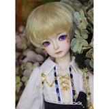 MEESock 1/4 BJD Boy Doll SD Dolls 42.5cm Fashion Ball Joints Doll, with Clothes + Shoes + Wig + Makeup, Having Different Movable Joints