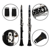 Glory Clarinet GLY-PBK Professional Ebonite Bb Clarinet with 10 Reeds, Stand, Hard Case, Cleaning Cloth, Cork Grease, Mouthpiece Brush and Pad Brush, Black