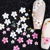 2 Boxes 3D Flower Nail Charms and Metal Beads for Acrylic Nails, Nail Flowers Rhinestone Nail Design 3D Nail Decals For Nail Art Craft Supplies DIY Decoration Accessories (2 packs)