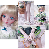 FEENGG BJD SD Doll 1/6 Joint Doll Full Set Clothes Wig Hat Shoe Advanced Resin Child Birthday