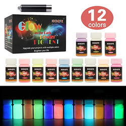 HXDZFX Glow in The Dark Pigment Powder Epoxy Resin Pigment (Set of 12 Bottles 0.7oz Each) Safe Non-Toxic for Slime,Nails,Acrylic Paint,Halloween,Fine Art and DIY Crafts