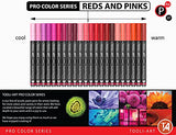 Acrylic Paint Pens 22 Red & Pink Tones Assorted Pro Color Series Markers Set 0.7mm Extra Fine Tip for Rock Painting, Glass, Mugs, Wood, Metal, Canvas, Projects, Non Toxic, Waterbased, Quick Drying