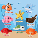 Muiteiur Plush Soft Ocean Animals Set with Plush Sea Shell House Includes Stuffed Turtle, Lobster, Crab, Dolphin, Devil Fish, Octopus, Starfish, Clownfish (Multicolor,8 Piece)
