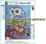 New 5D Diamond Painting Kits for Adults Kids, Awesocrafts Girl with Flowers Garland Full Drill DIY Diamond Art Crystal Rhinestone Paint by Diamonds Cross Stitch (Girl)