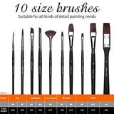 Acrylic Paint Brushes Set 10 PCS with a Canvas Case Ideal and Oil Paintings for Rock ，Acrylic Watercolor Oil Gouache Paint