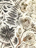 DESEACO Vintage Zen Botany Flower Washi Sticker Pack | Artsy Natural Black and White Plants with Golden Sketching Decals Collection (Vintage Wild Plants Gray/Golden 120 Pcs)