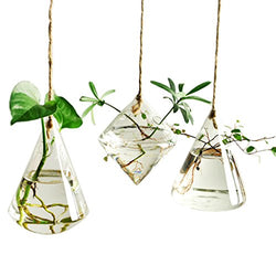 Ivolador Terrarium Container Flower Planter Hanging Glass Home Garden Decor -3 types