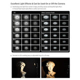 Godox V1N Flash Professional Camera Flash Speedlite Speedlight Round Head Wireless 2.4G Fresnel Zoom for Nikon D5300 D750 D850 D7100 Z7Cameras Camcorder for Wedding Portrait Studio Photography