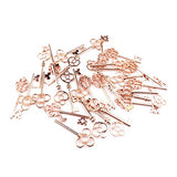 Aokbean Vintage Skeleton keys in Rose Gold Style - Set of 30pcs (Rose Gold)