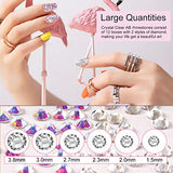 Crystals AB Nail Art Rhinestones Decorations Nail Stones for Nail Art Supplies and Clear Crystal Rhinestones with Pick Up Tweezer and Rhinestone Picker Dotting Pen