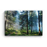 Startonight Wall Art Canvas Road in The Forest, Nature Framed 24 x 36 Inches