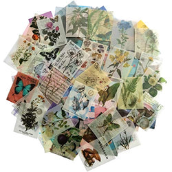 Vintage Scrapbook Material Paper Set Nature Collection Green Herb Plant Natural Flower Fruit Art Craft Supplies Decoration for Journaling Planner Gift Card Diary Album