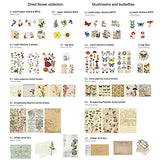180PCS Vintage DIY Scrapbooking Aesthetic Stickers Pack for Journaling, SOYZMYX Decorative Antique Retro Natural Collection, Diary Journal Embellishment Supplies Washi Paper Sticker for Craft