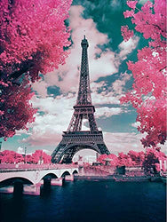 DIY 5D Diamond Painting Pink Paris Full Drill Round Diamond Crystal Rhinestone Pictures Arts Craft for Home Wall Decoration Gift (11.8X15.7inch)