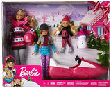 Barbie FDR73 Sisters Snow Fun Doll Giftset, Multicolor