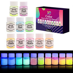 Glow in The Dark Pigment, Wtrcsv 10 Color Luminous Powder Non-Toxic Safety Pigment Powder for Paint, Slime, Nails, Resin, Concerts or DIY - 20g/0.7oz Each(Total 7oz)