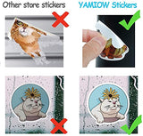 Cat Stickers 80 Pcs, Yelltale Water Bottles Luggage Laptop Skateboard Bicycle Kitty Stickers Waterproof Vinyl Sticker Decals Graffiti Patches for Adults Kids Teens Boys Girls