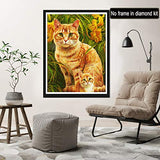 Rovepic 5D Diamond Painting Kits Animal Cat Round Full Drill, DIY Paint with Diamonds Art Cat Kitten Flower Crystal Rhinestone Cross Stitch for Home Office Wall Crafts Decorations 12×16 Inch