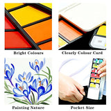 Fuumuui 18 Assorted Watercolors Field Sketch Set Travel Pocket Field Kit with Water Paint Brush, Perfect for Painting On The Go - 18 Colors