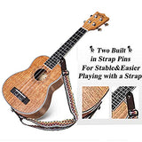 Soprano Ukulele Beginner Pack-21 Inch w/Gig Bag,Strap, Picks,Strings All in One Kit (Brown)