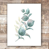 Botanical Prints Wall Art - Eucalyptus Leaves - (Set of 6) - Unframed - 8x10s